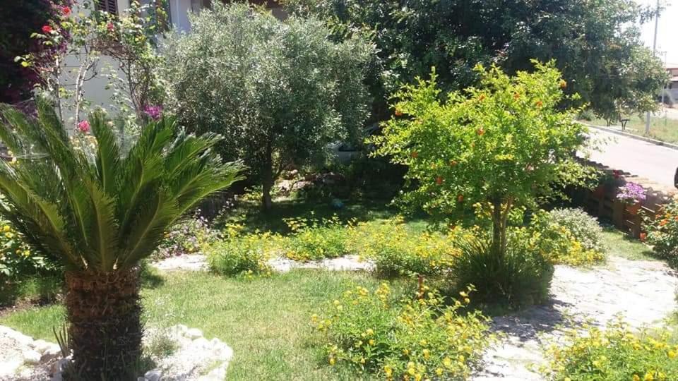 B&B Ottoulivi Sardara Εξωτερικό φωτογραφία