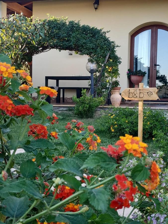 B&B Ottoulivi Sardara Εξωτερικό φωτογραφία