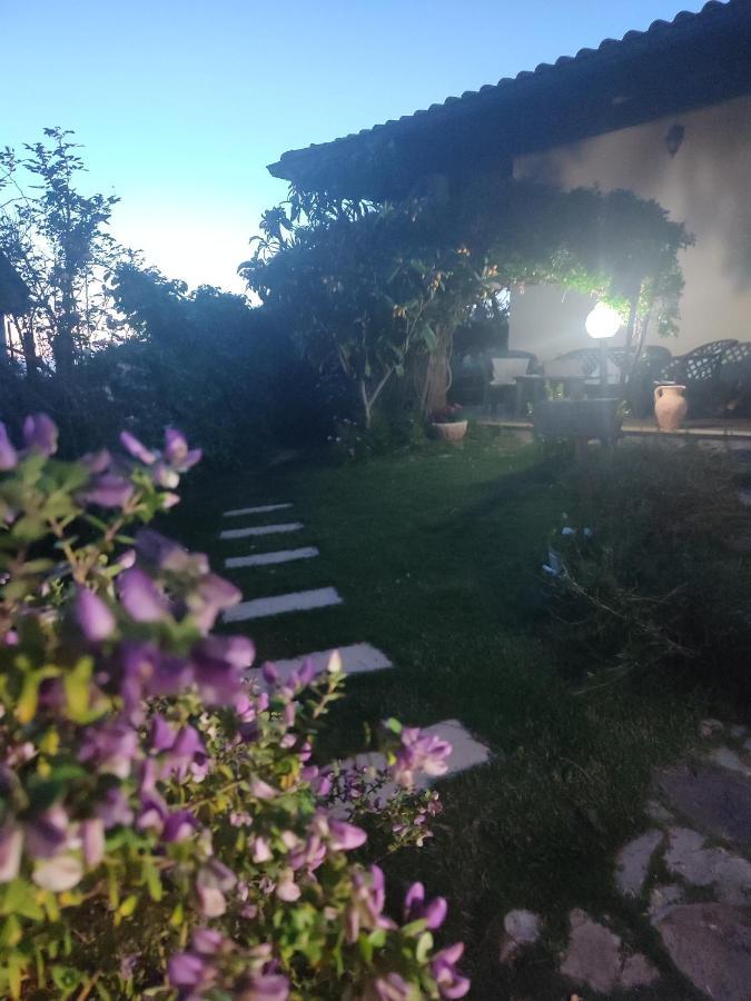B&B Ottoulivi Sardara Εξωτερικό φωτογραφία
